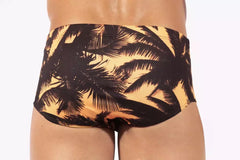 Sunset Traditional Swim Trunks for men