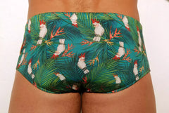 Swim Trunks for men