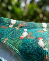 Budgie Low Rise Swim Briefs 10 cm Side