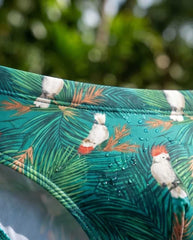 Budgie Low Rise Swim Briefs 10 cm Side