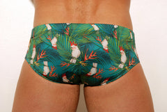 Budgie Low Rise Swim Briefs