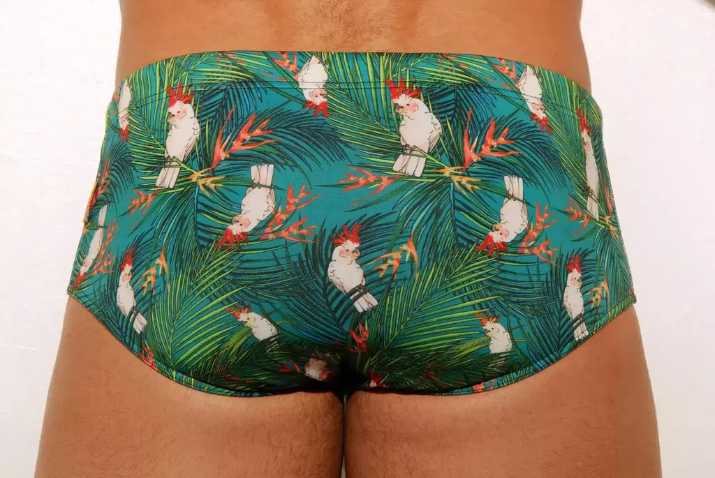 Budgie Classic Swim Briefs for men 